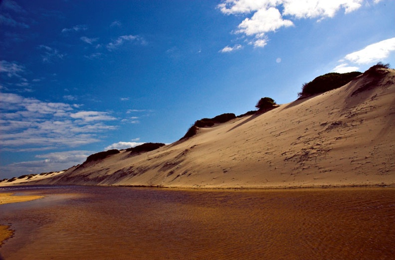 DSC_6900web.jpg