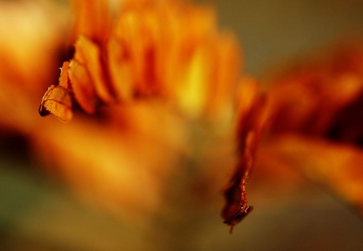 DSC_1765web