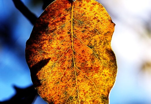 DSC_1783web