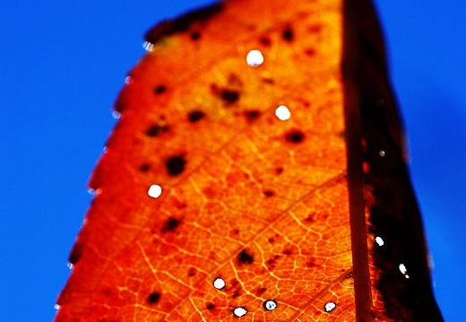 DSC_1786web