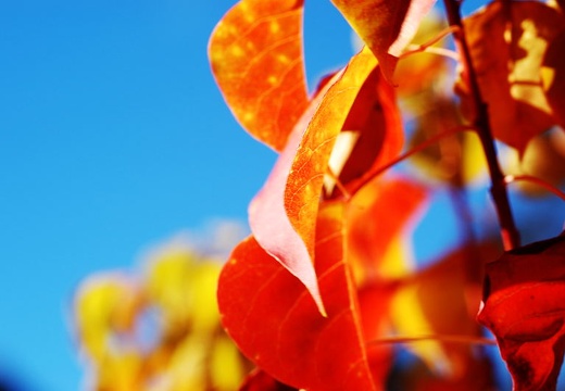 DSC_1897web
