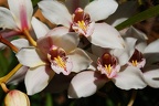 NJW_3440.jpg